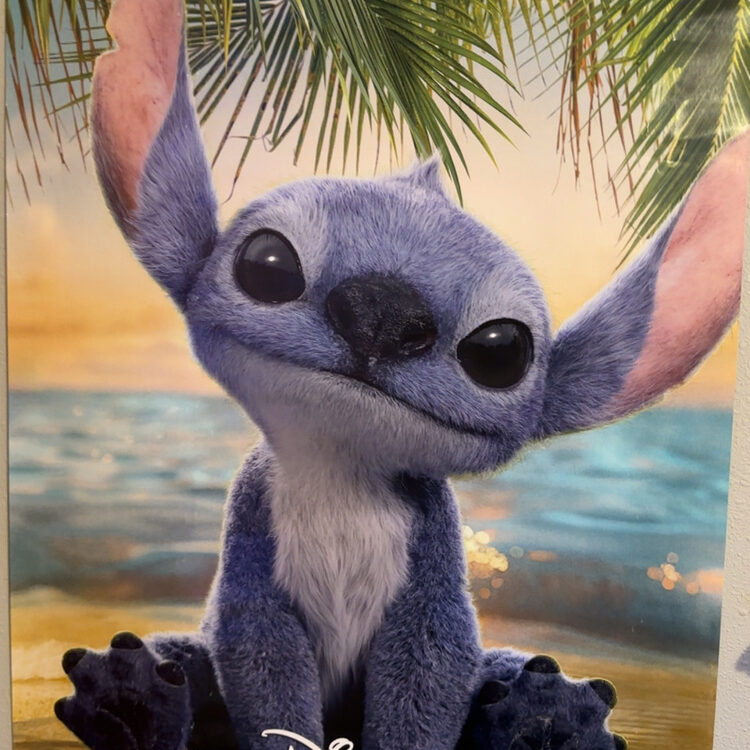Foto de perfil de Jacob