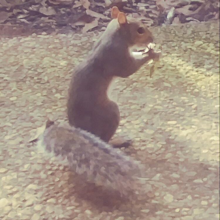 Foto de perfil de Shawn