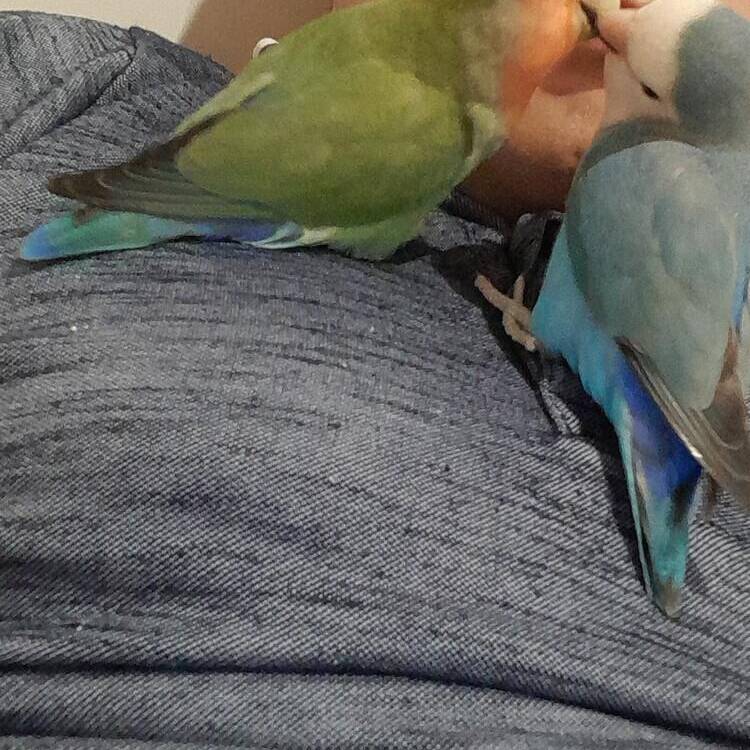 Foto de perfil de Jhon