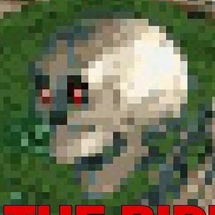 Foto de perfil de Officialdoinkod