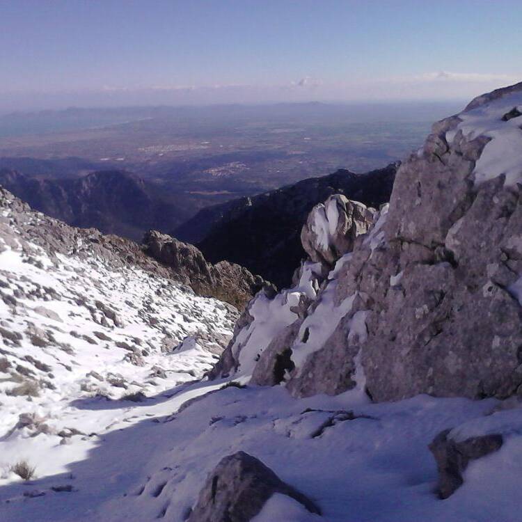 Foto de perfil de Pedro C