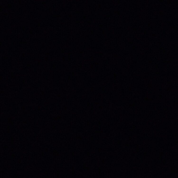 Foto de perfil de charlie