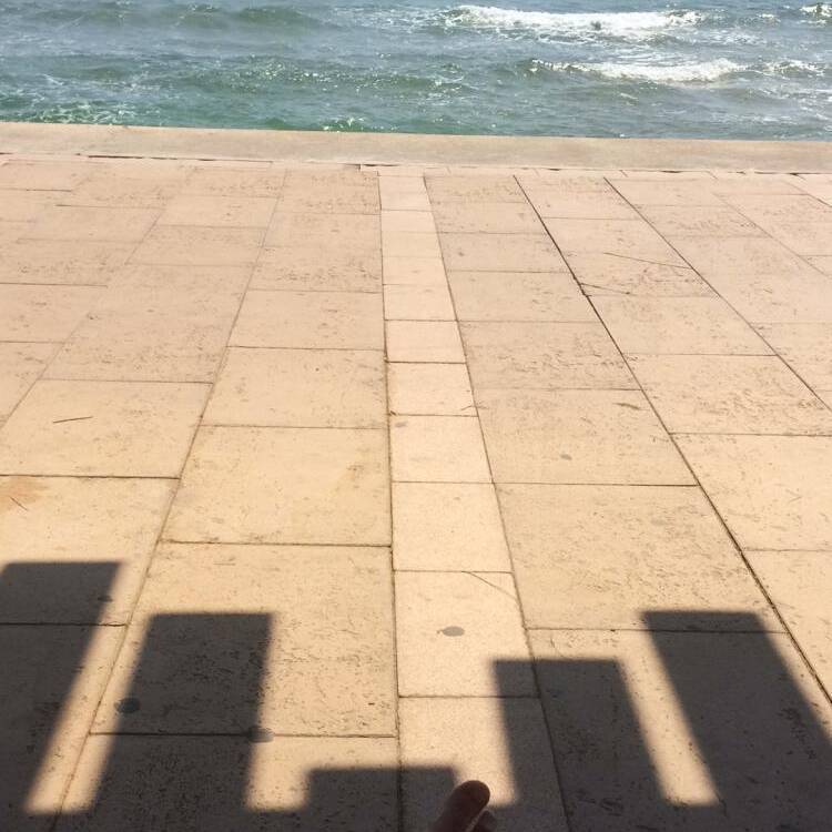 Foto de perfil de Fernando
