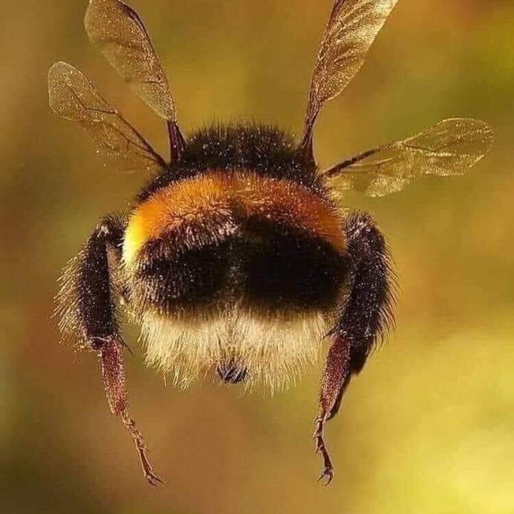 Foto de perfil de Nita