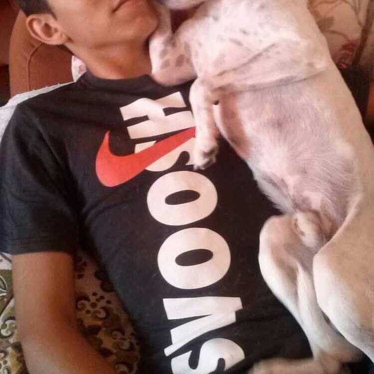 Foto de perfil de jaime
