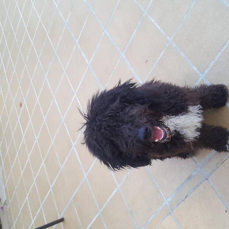 Foto de perfil de Patricia
