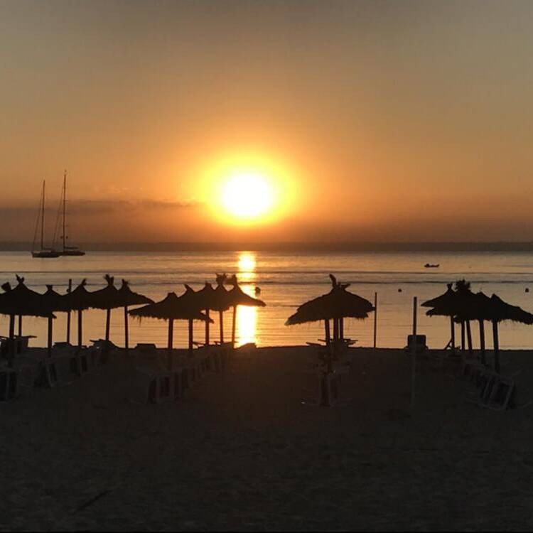 Foto de perfil de Mart
