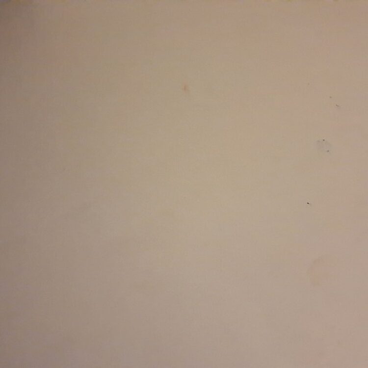 Foto de perfil de Dylin