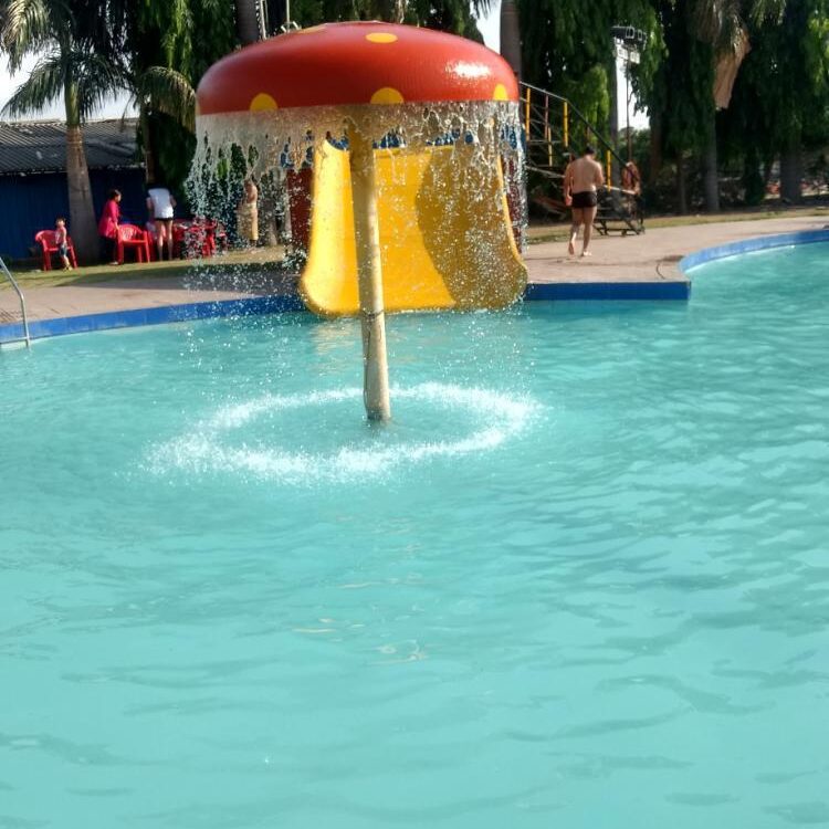 Foto de perfil de chintaman