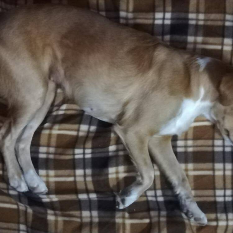Foto de perfil de Manuel