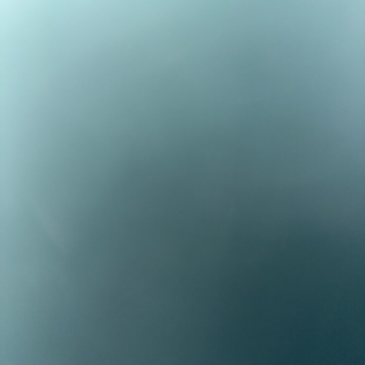 Foto de perfil de Sam