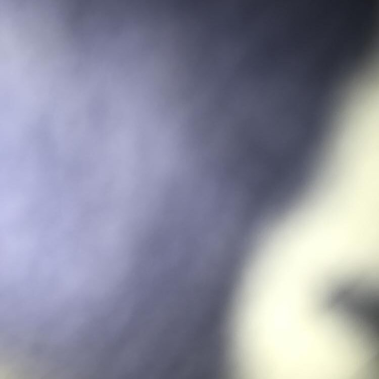 Foto de perfil de dbor13