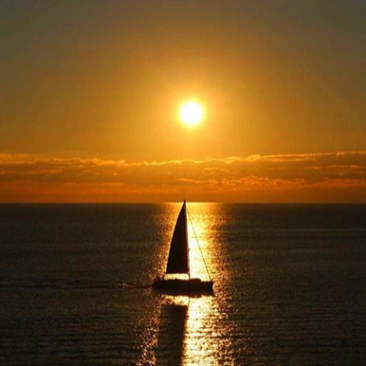 Foto de perfil de José Luis Mallorca