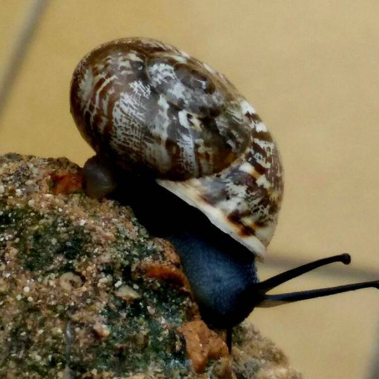 Foto de perfil de Veronica