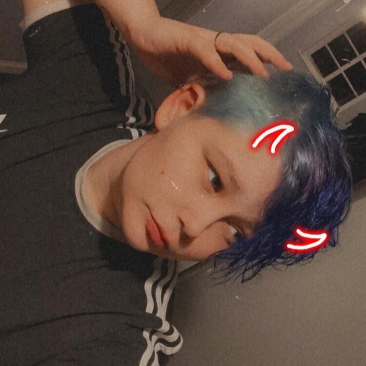 Foto de perfil de Sam