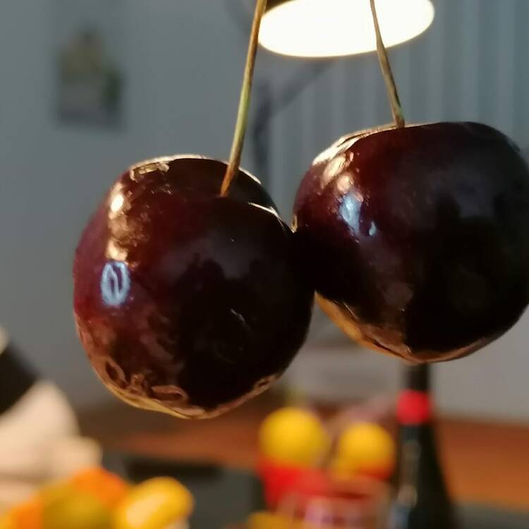 Foto de perfil de Gabi