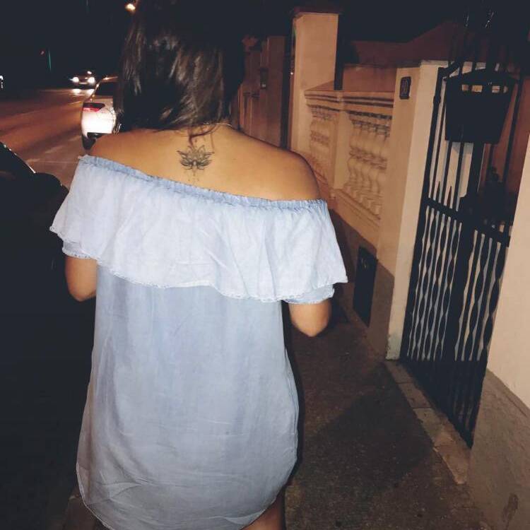 Foto de perfil de Sfesca