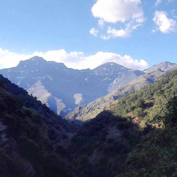 Foto de perfil de Miguel Sanchez Espigares