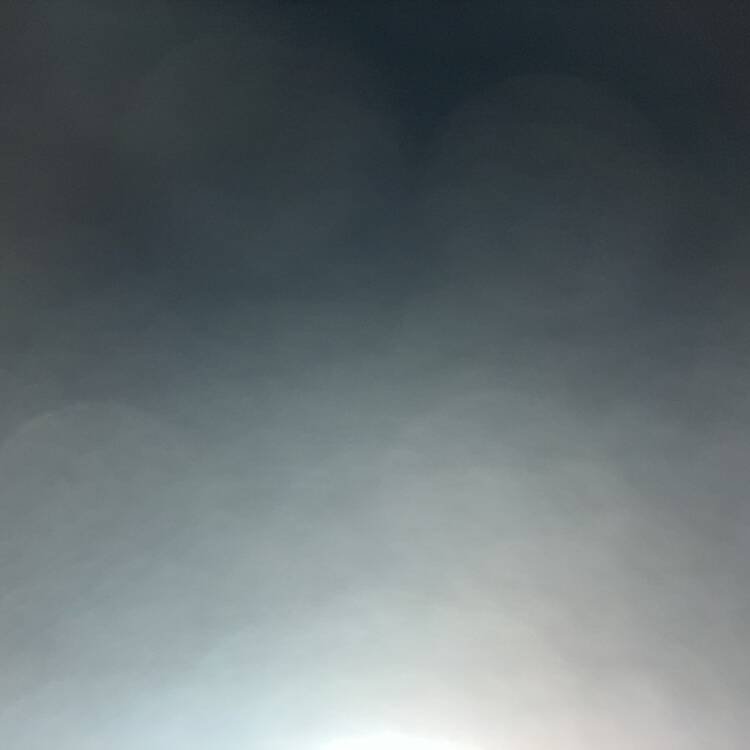 Foto de perfil de Barney