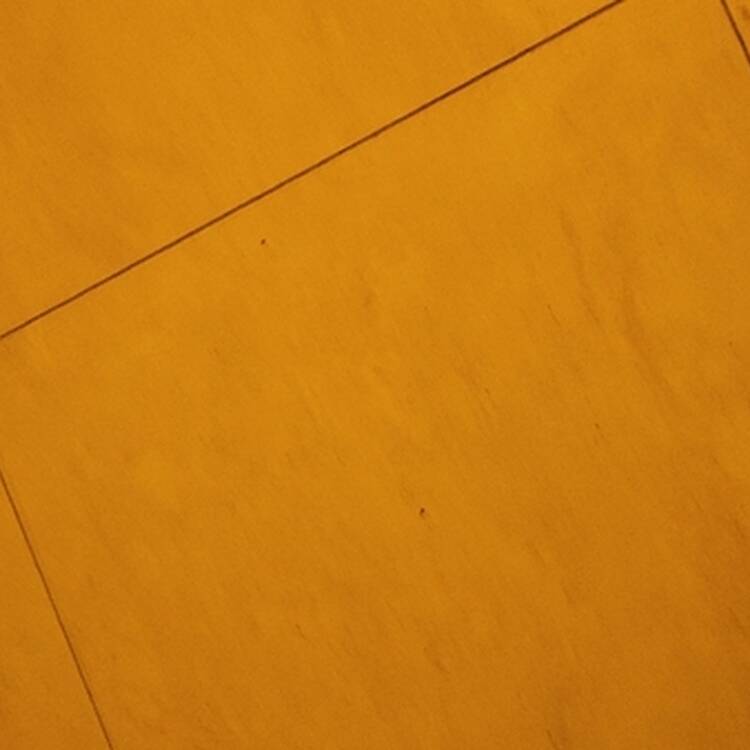 Foto de perfil de Niko