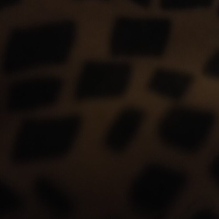 Foto de perfil de Noah