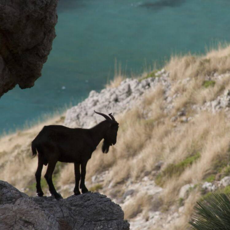Foto de perfil de daniel