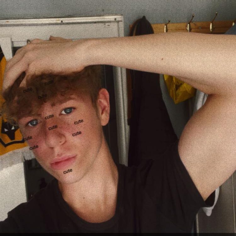 Foto de perfil de Dan