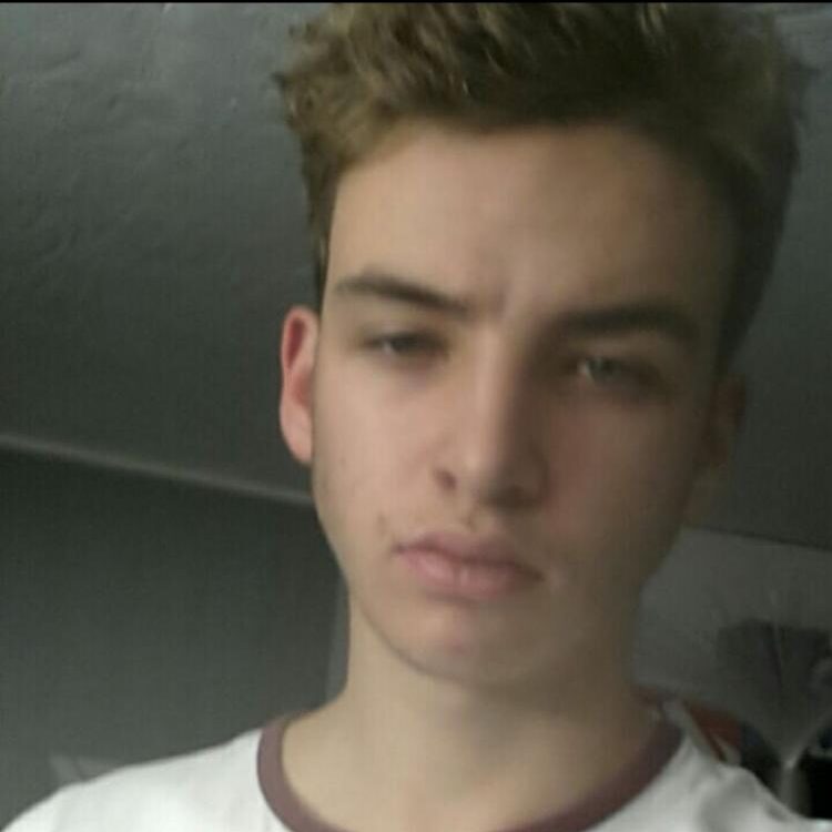 Foto de perfil de Wilfried