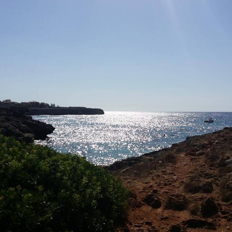 Foto de perfil de Britta