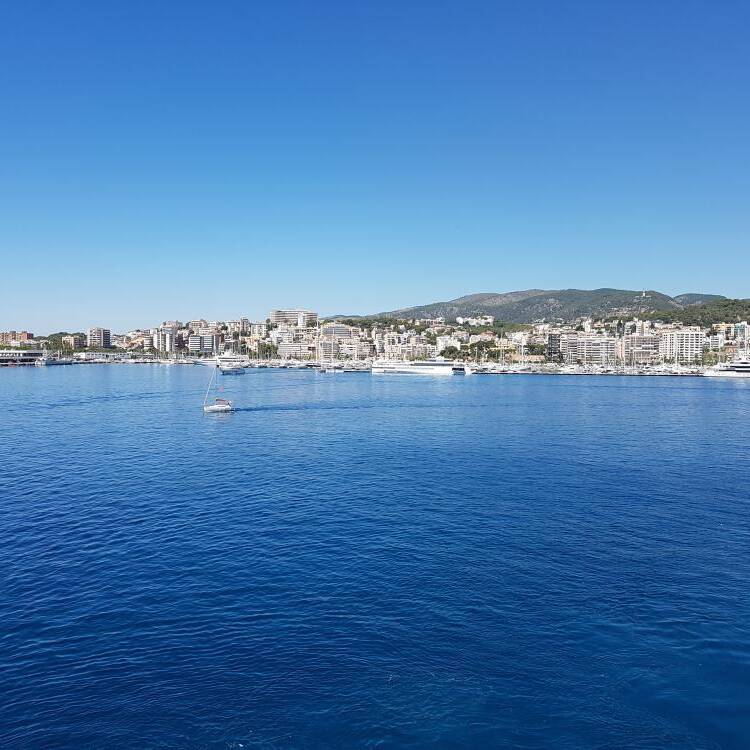 Foto de perfil de Maribel