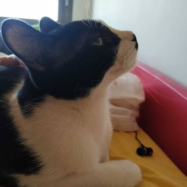 Foto de perfil de Bea