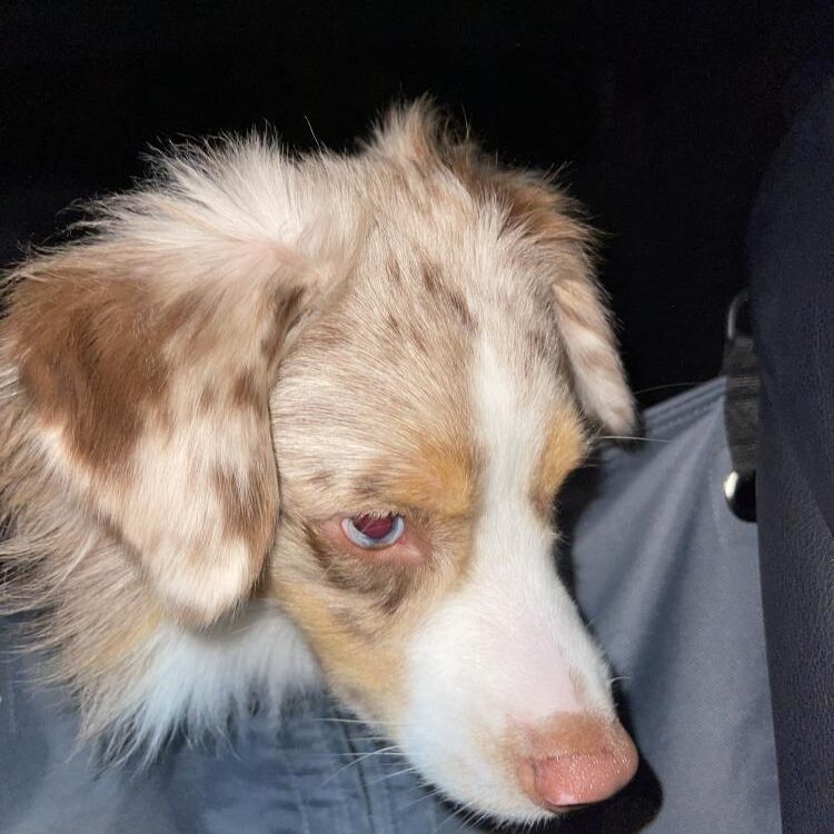 Foto de perfil de Maryraee