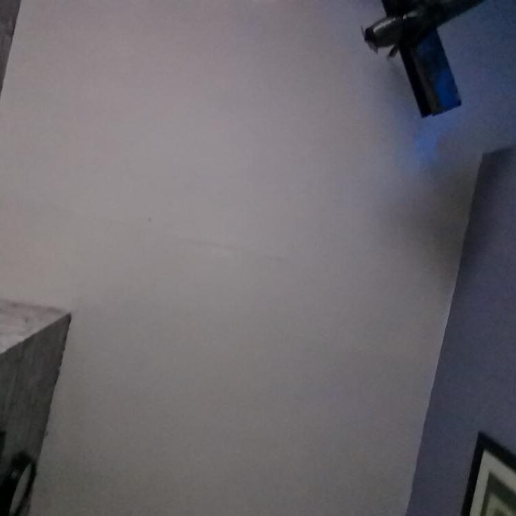 Foto de perfil de Jackr2446