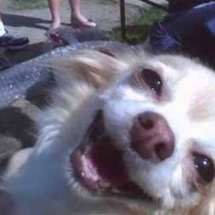Foto de perfil de Juli