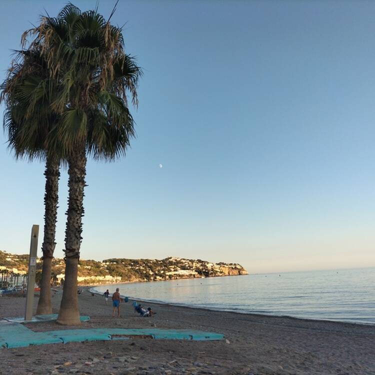 Foto de perfil de Bel