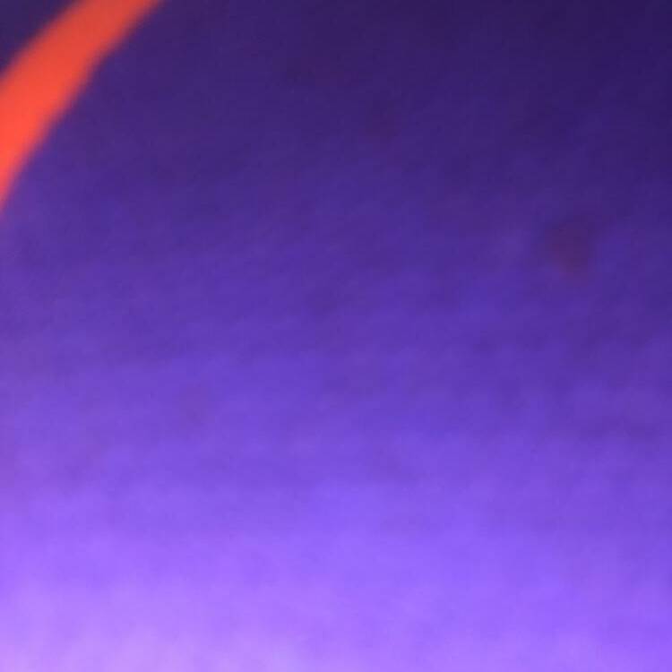 Foto de perfil de Maria