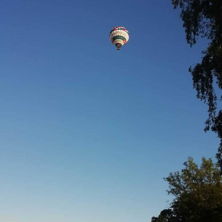 Foto de perfil de Marti