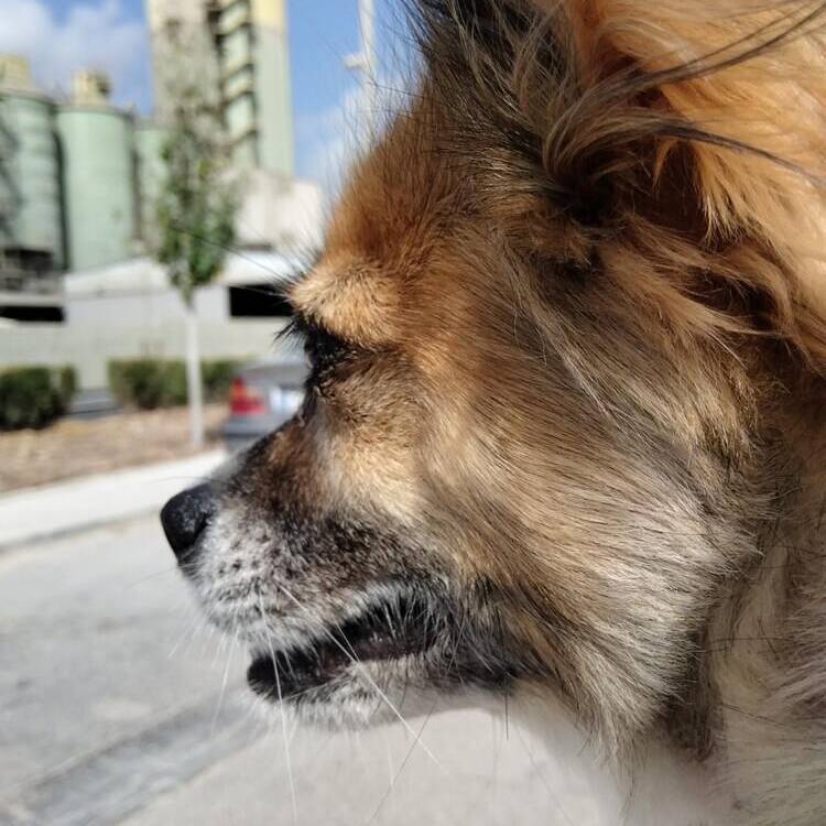 Foto de perfil de Aaron