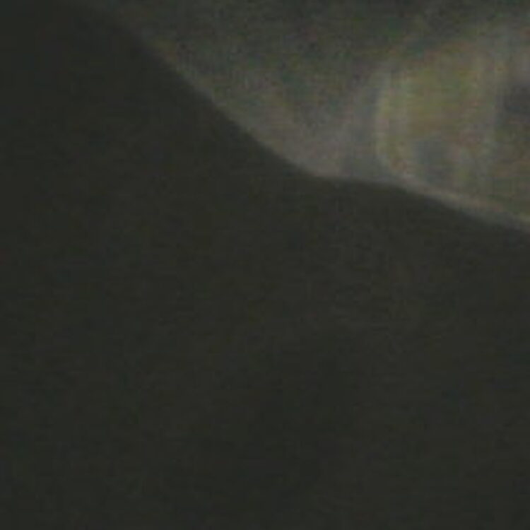 Foto de perfil de Pulsar