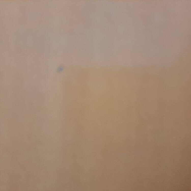 Foto de perfil de Shei
