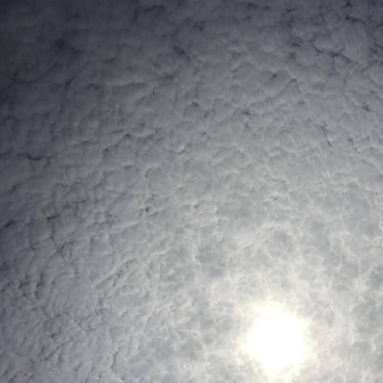 Foto de perfil de moss