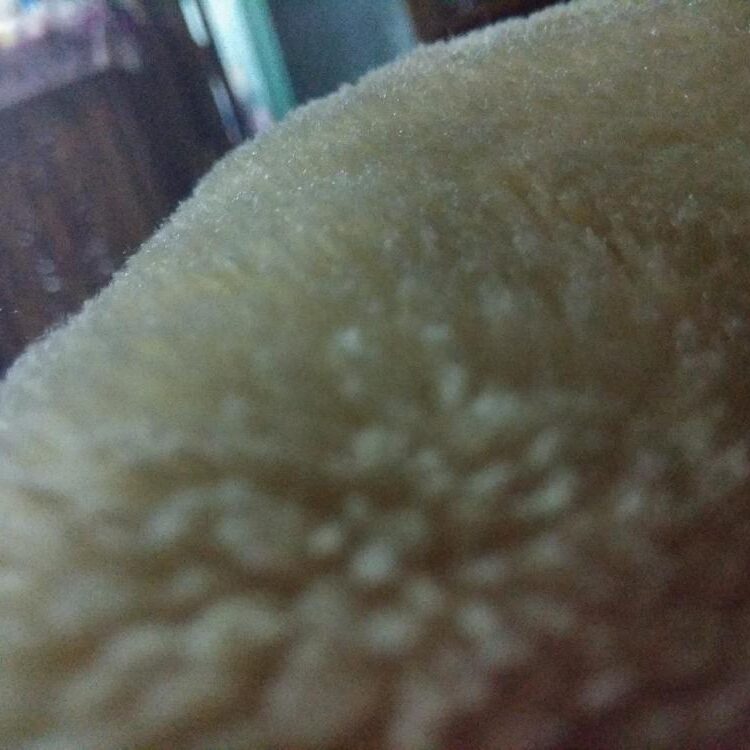 Foto de perfil de waiting