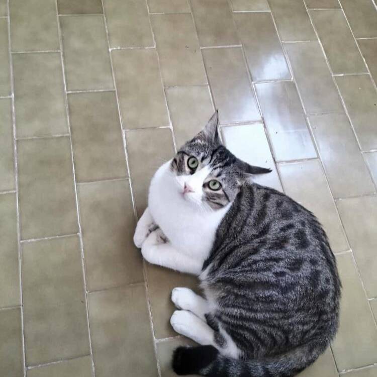 Foto de perfil de Amal