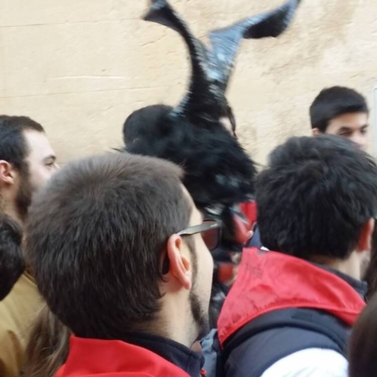Foto de perfil de Llorenç