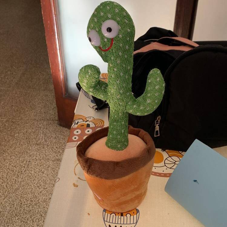 Foto de perfil de Once