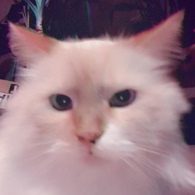 Foto de perfil de Keterene