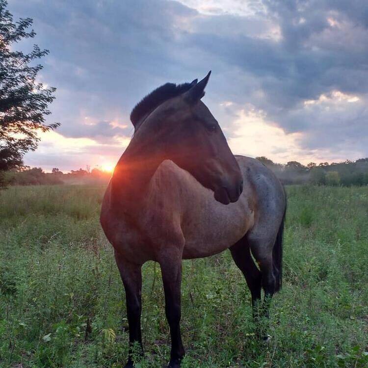 Foto de perfil de nuage