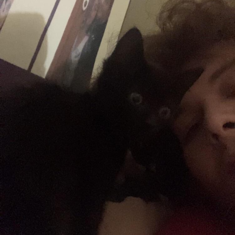 Foto de perfil de Jeff13579