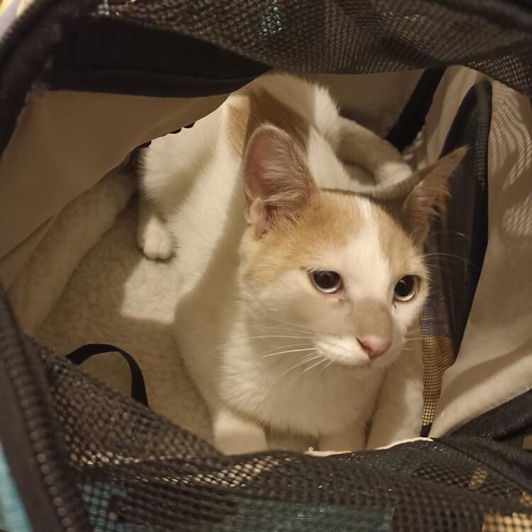 Foto de perfil de Fred S