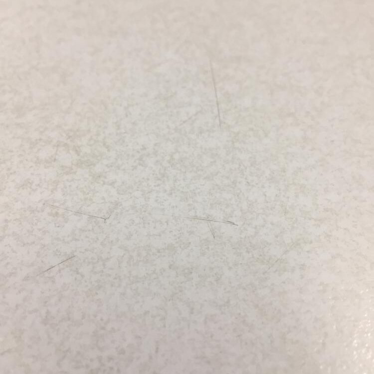 Foto de perfil de Jackwill0971